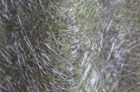 Painshawfield fibreglass roof work